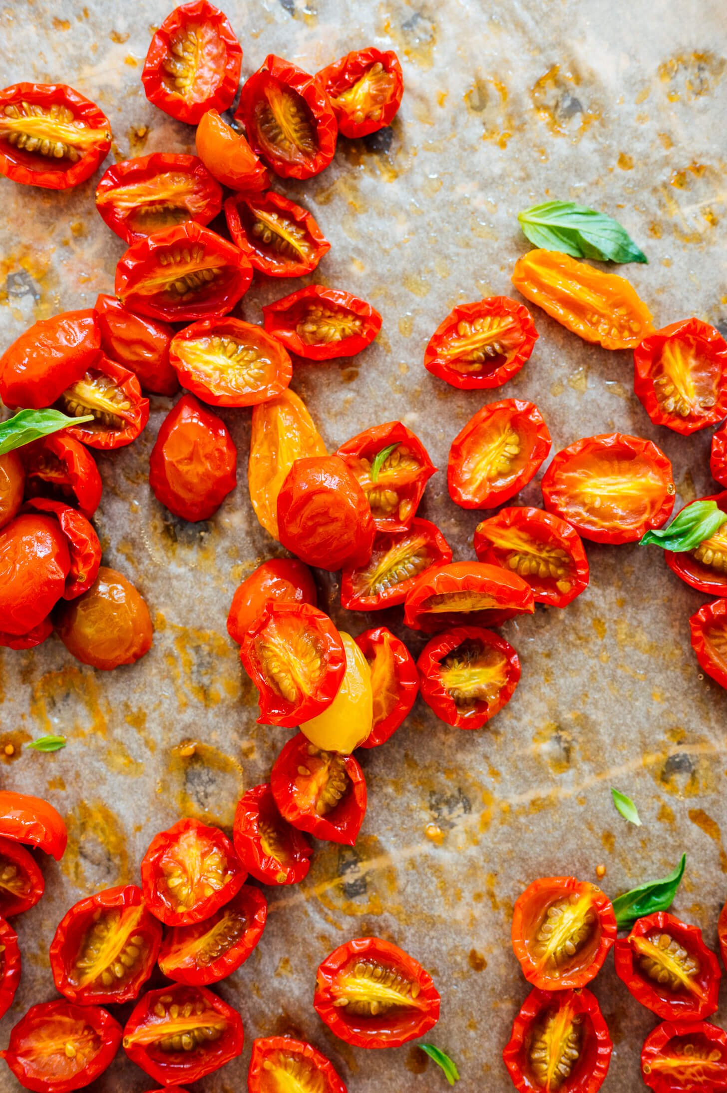 roasted cherry tomatoes close-up